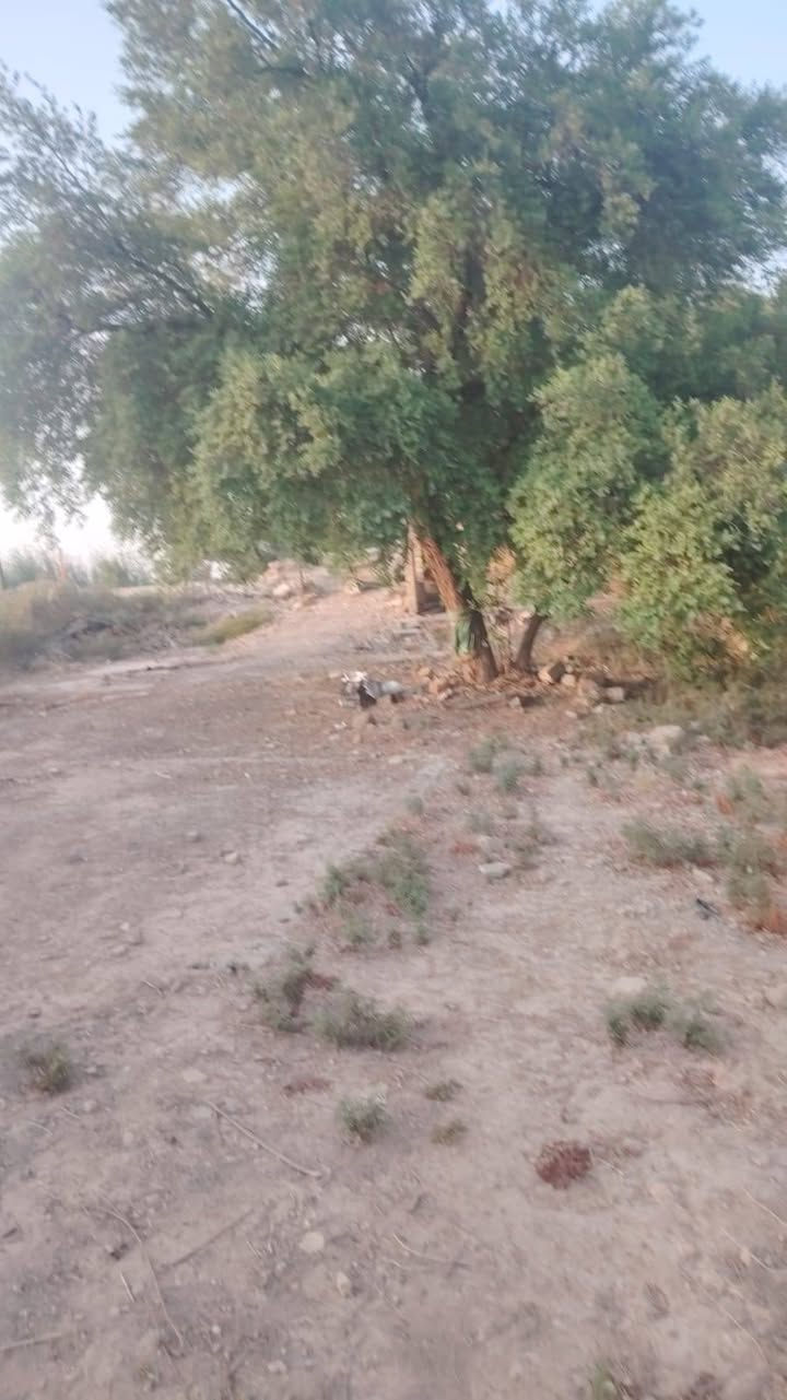يا الله سلام عليكم يتوفر عندي دونم طابو ملك صرف عنوان لزعفرانيه عله فرع لنهر دجله خدمات كامله يصلح سكن يصلح مزرعه
