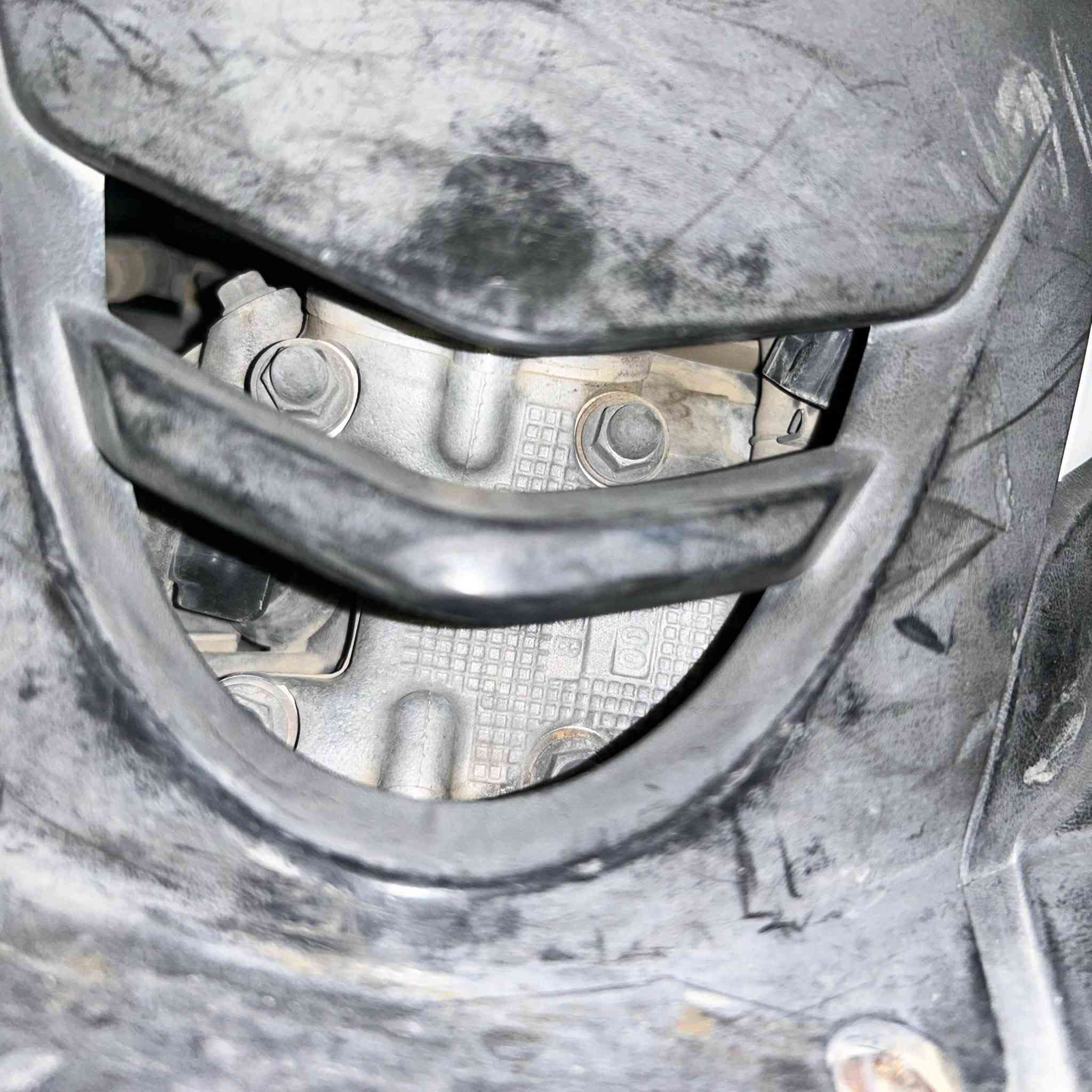 ماكس ثعلب • نظيفه • قليل استعمال