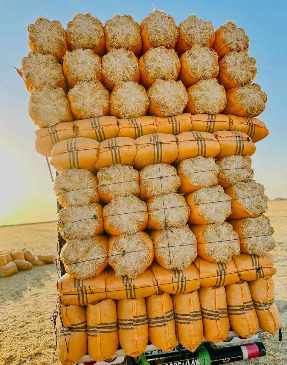 يوجد تبن سنه مكروض للبيع شرط ابيض وناعم وترس فول وخياط كله ورده شرط تفريغ يتوفر جميع قياسات حسب طلب وبانسب السعار اتصال*********** او مرسله خاص توصيل مجاني (بغداد واسط كربلاء ديوانيه بآبل نجف)
