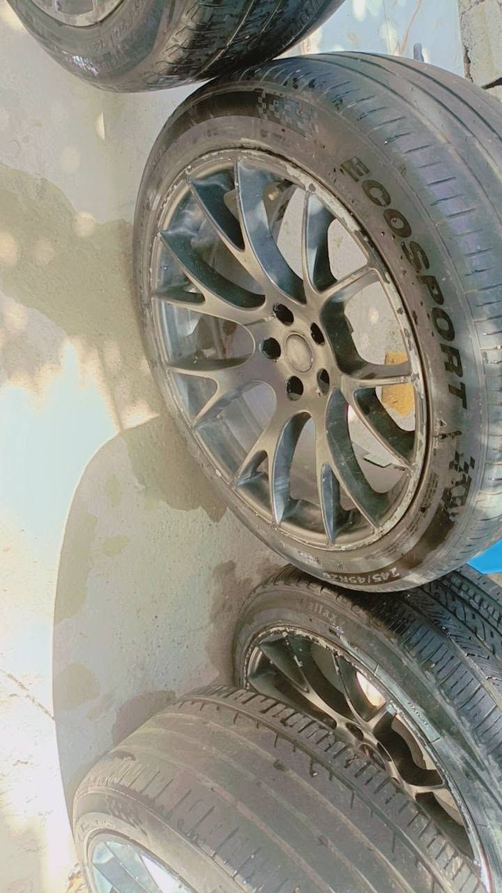 ويل عنكبوت 20البيع السعر 300الف بيه واحد فطر كامل وحاساس بيه‏‪***********‬‏
