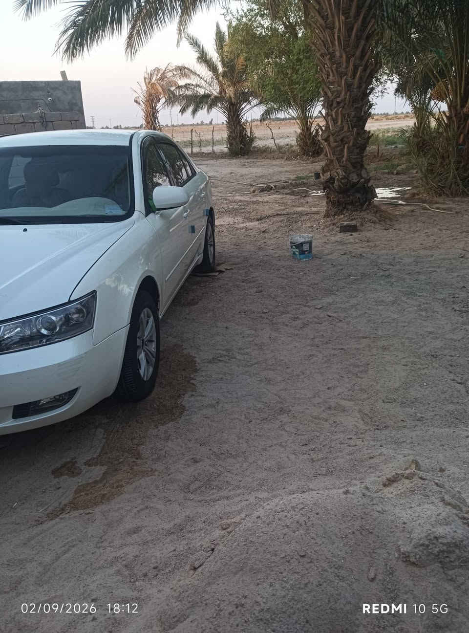 سوناته موديل 6 • جاهزه • بابل كفل