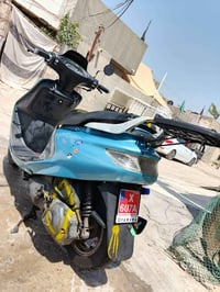 فراشه فحل • محرك شرط • لايت زنون