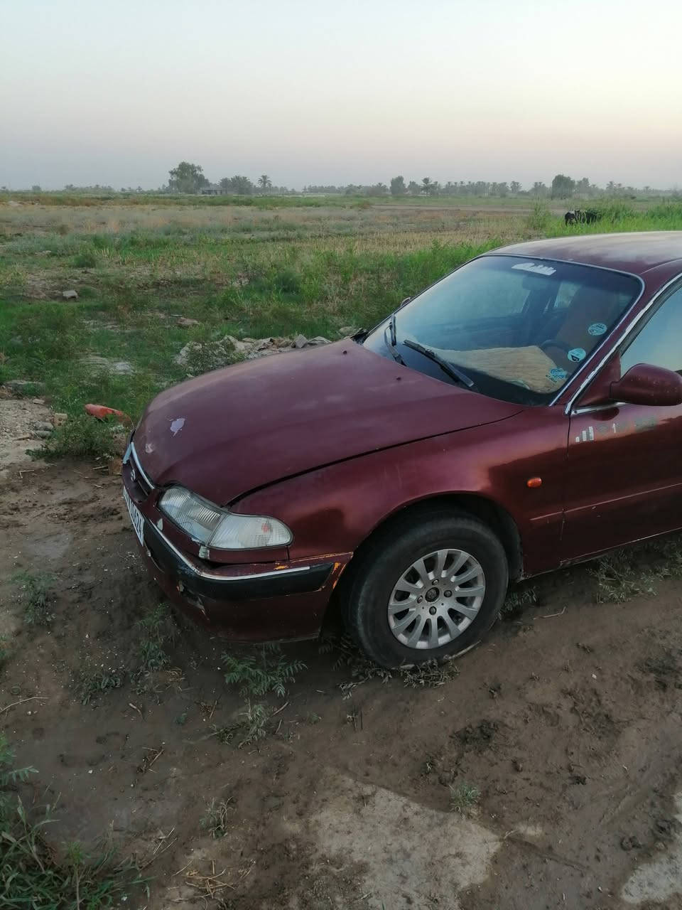 سوناتا ٢ رقم بغداد انكليزي جاهزه من جميع النواحي عارضه للبيع ٣٦ وبيها مجال قليل.*********** مكاني الصويره
