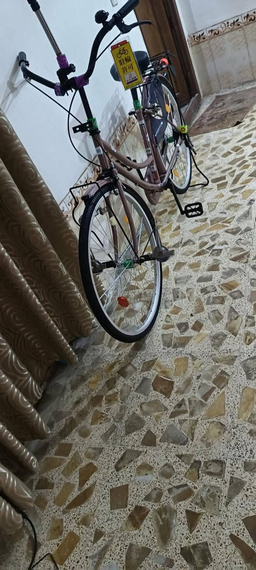 باسلكل للبيع عنوان النجف مناذره***********
