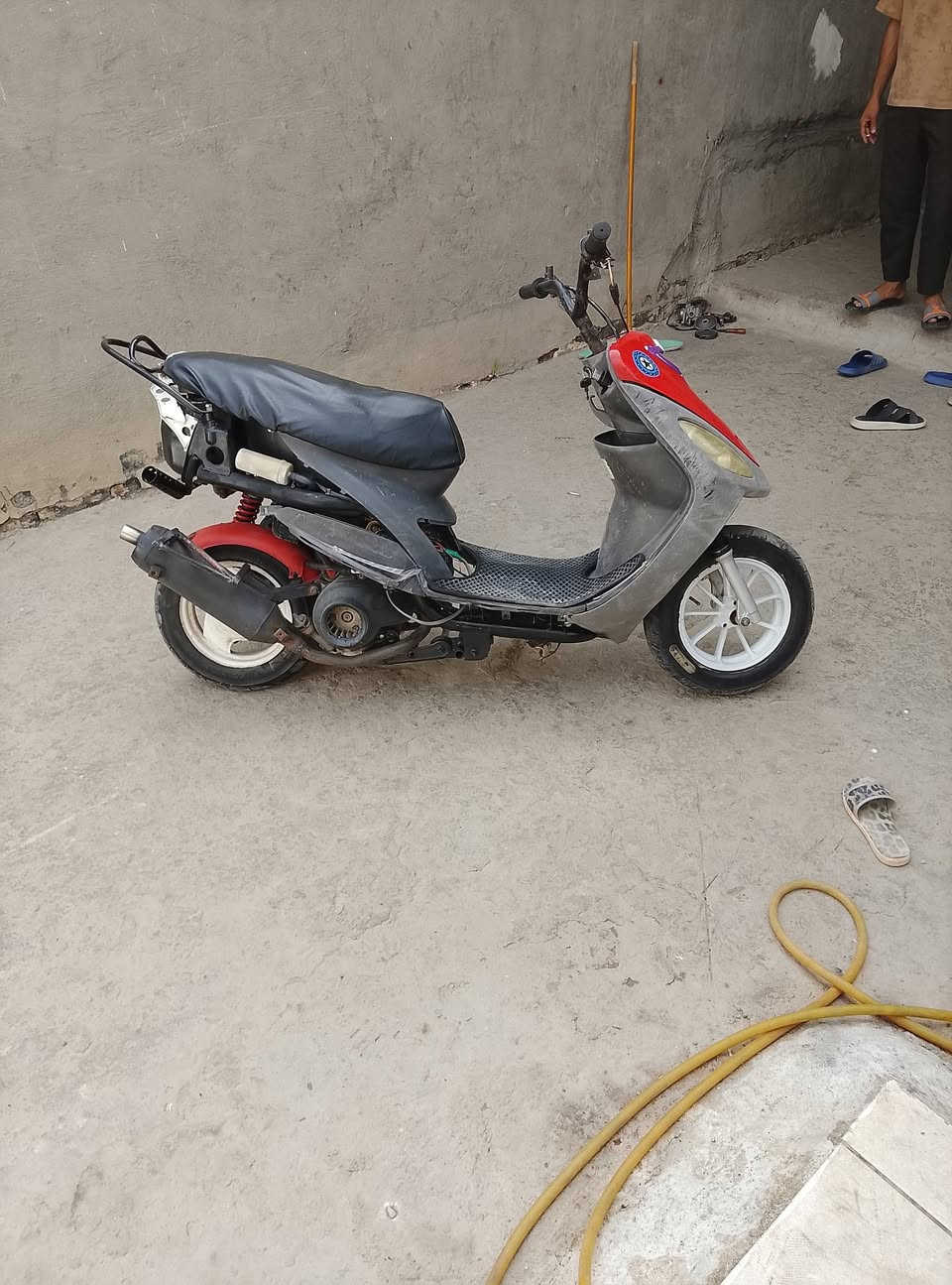 بوشه • ٥٥ • سلف نكرة