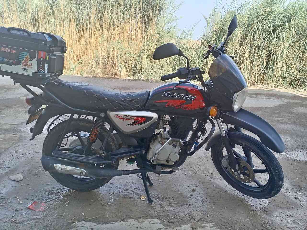 بوكسر • ٢٠٢٢ • جبلي