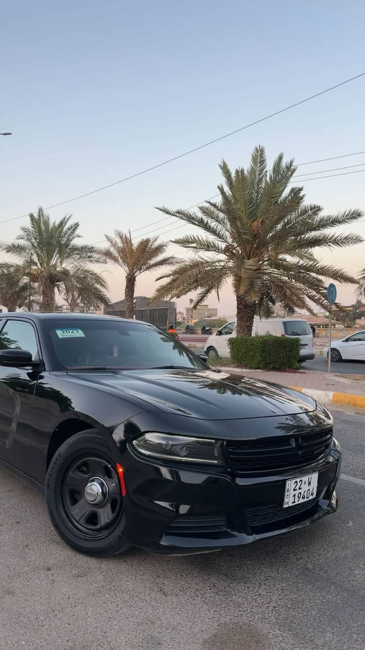 السلام عليكم
دوج جارجر 2023 اصل فدراليه رقم اربيل V8
السياره تو ويل بدون ايرباك ماشيه 18 الف شبه زيرو
 تخم تاير جديد حداديه جديده حادثها تبديل باب وجاملغ 
بجم كبس وبيها كلير من امريكا 
بدون حادث بدون معجون فقط كلير قطعتين صور الحادث مرفقه السياره كلش حلوه واحلى من الصور سعرها مناسب عنواني ميسان مركز المدينه للاستفسار ***********
