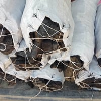 فحم أشجار • درجة أولى • أبو غريب