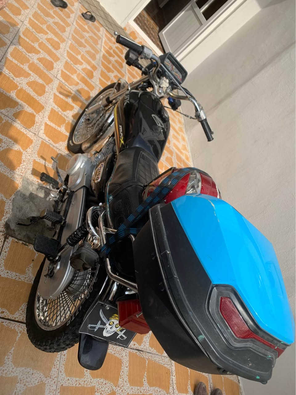 تايگەرمەنەفێست • ٢٠٢٣ • ٤٨٠