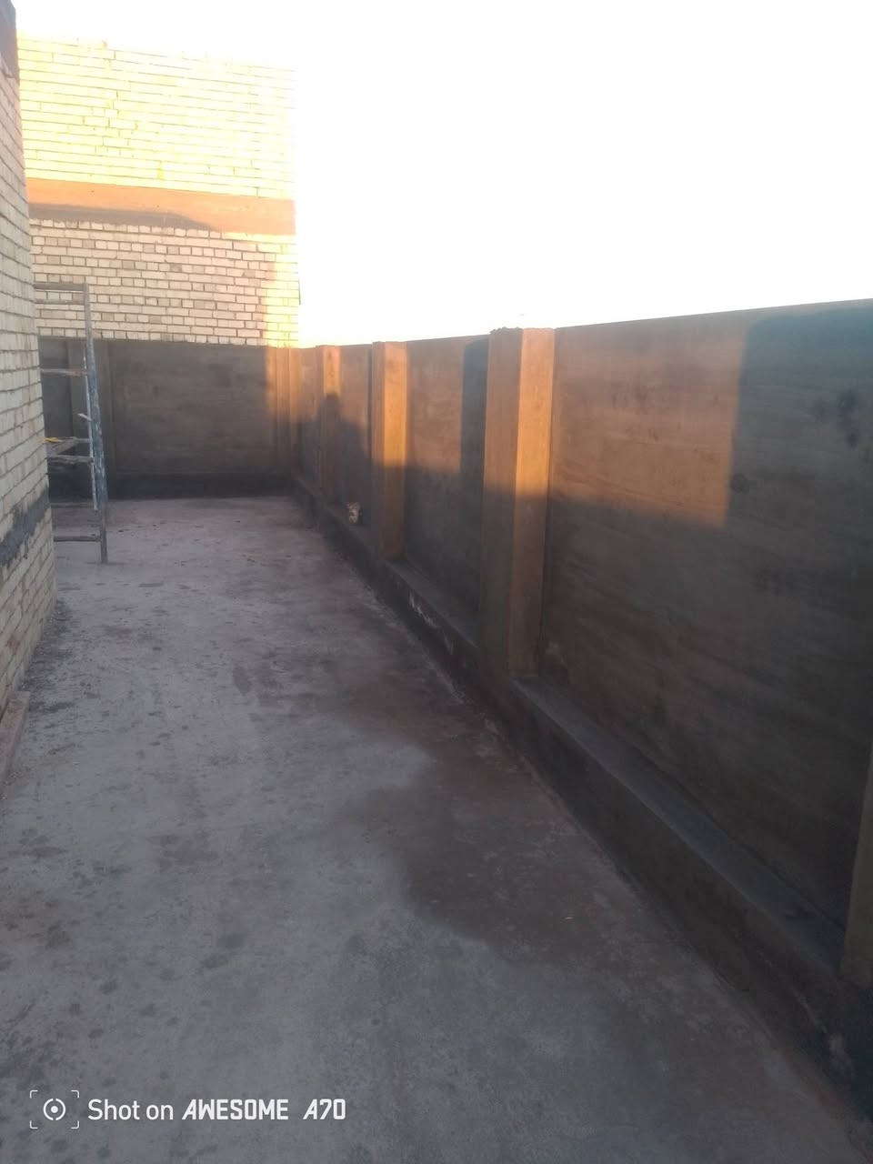 لباخ • متفرغ