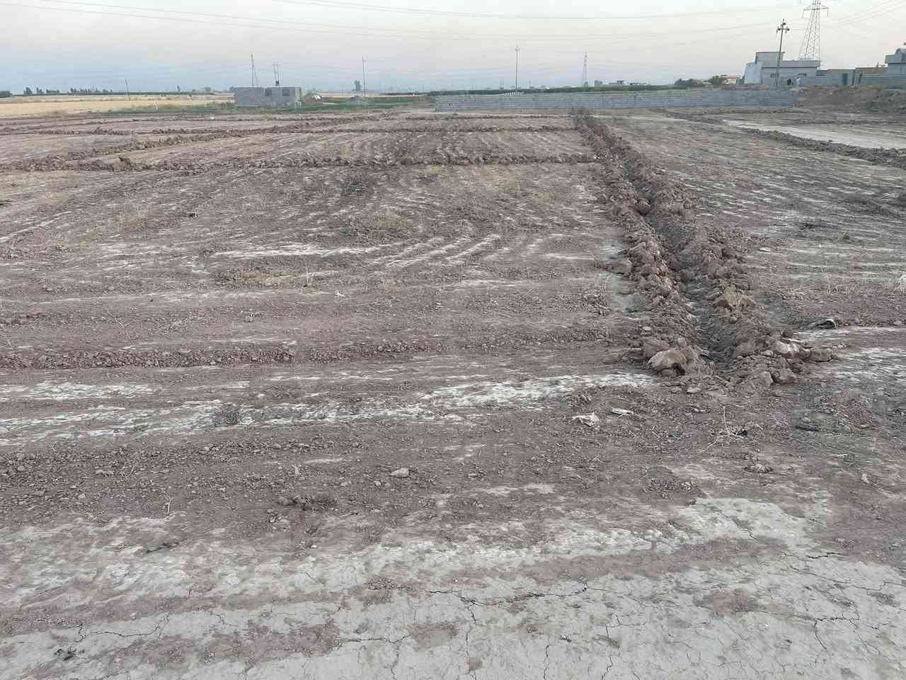 قطع للبيع منطقة(طيبة)خلف جملة وحدادة العياش يبعد عن الشارع العام 50 متر خلف التجاري مباشرةً المساحات 200 متر خدمات ماء وكهرباء وسكن ومدارس (سعر القطعة اربعة ملايين) ***********
