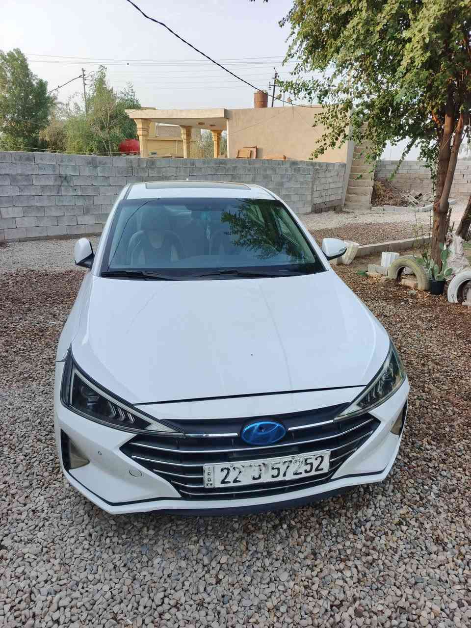 النترا • ٢٠١٩ • شكل ٢٠