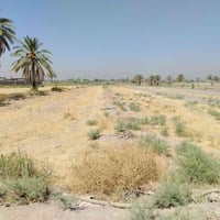 هوى الشام • ٣ ونص • واجهة طريق