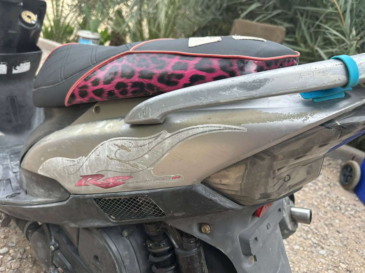 ماكس بلادي • جناح • ملاحظات