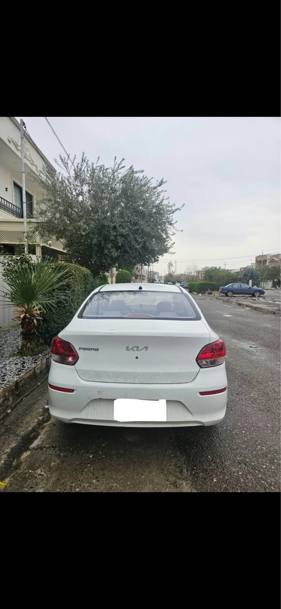 پيگاس • فولة • ٢٠٢٣