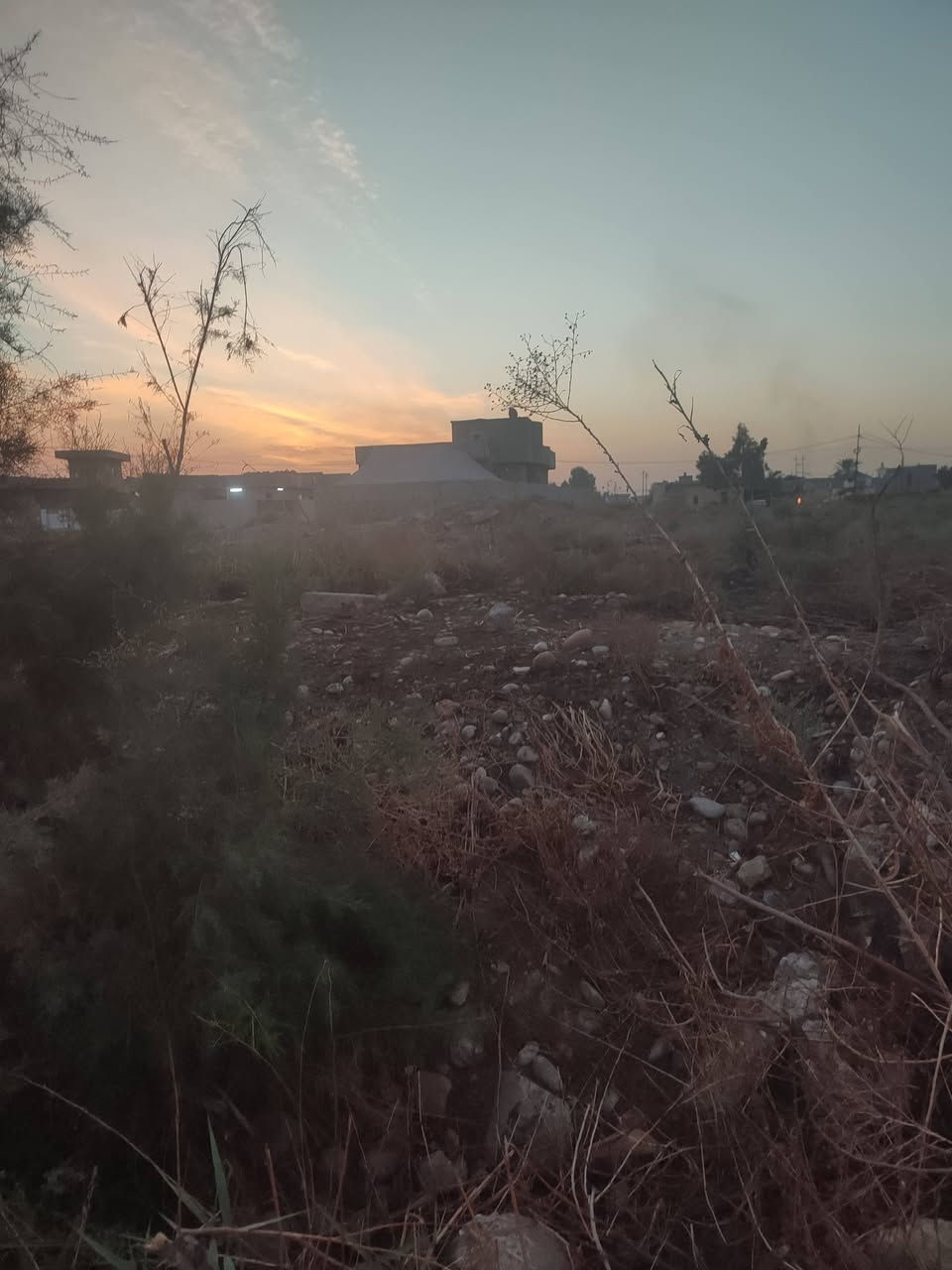 حاوي الجوسق • ٢٥٠م • أوراق كاملة