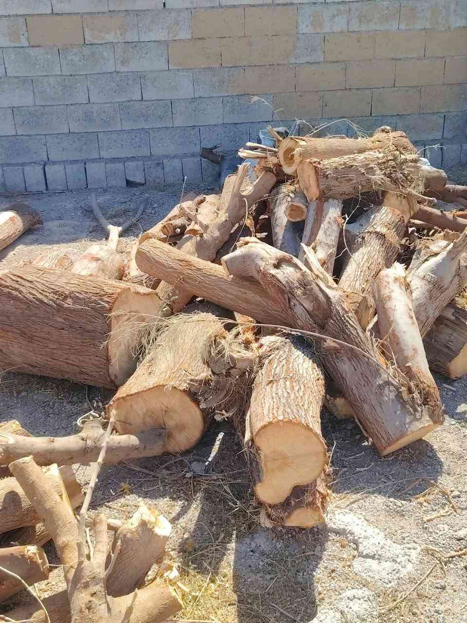 حطب منوع • درجة اولى • السرقاط الايسر