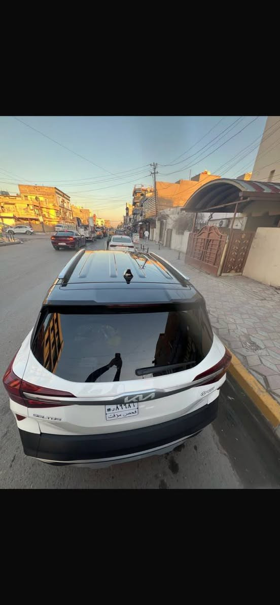 سلتوس • ٢٠٢٢ • وارد أمريكي