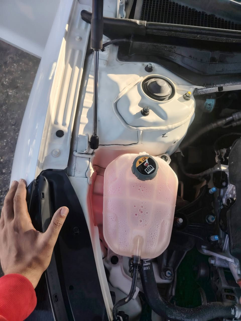 السلام عليكم
K5 2023 غازية مكينة 2000 تنفس طبيعي 
كفالة عامة رقم قادسية دولي جديدة السيارة بريحة الشركة بعدهة للبيع او للمراوس حسب القناعة ولاتقارنة بالراكضات الجديد فلوسة بي

١٨٥ وبيهة مجال
***********
