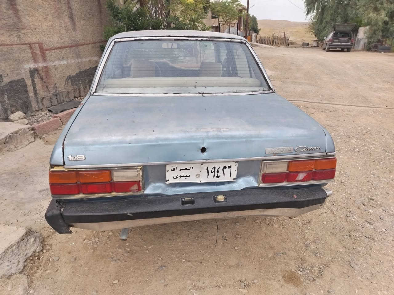 كورونا ٨٢ • تعبان • نينوى