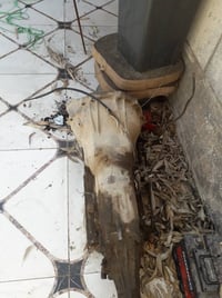 قير • شرط الشغل • البصرة دور الشرطة