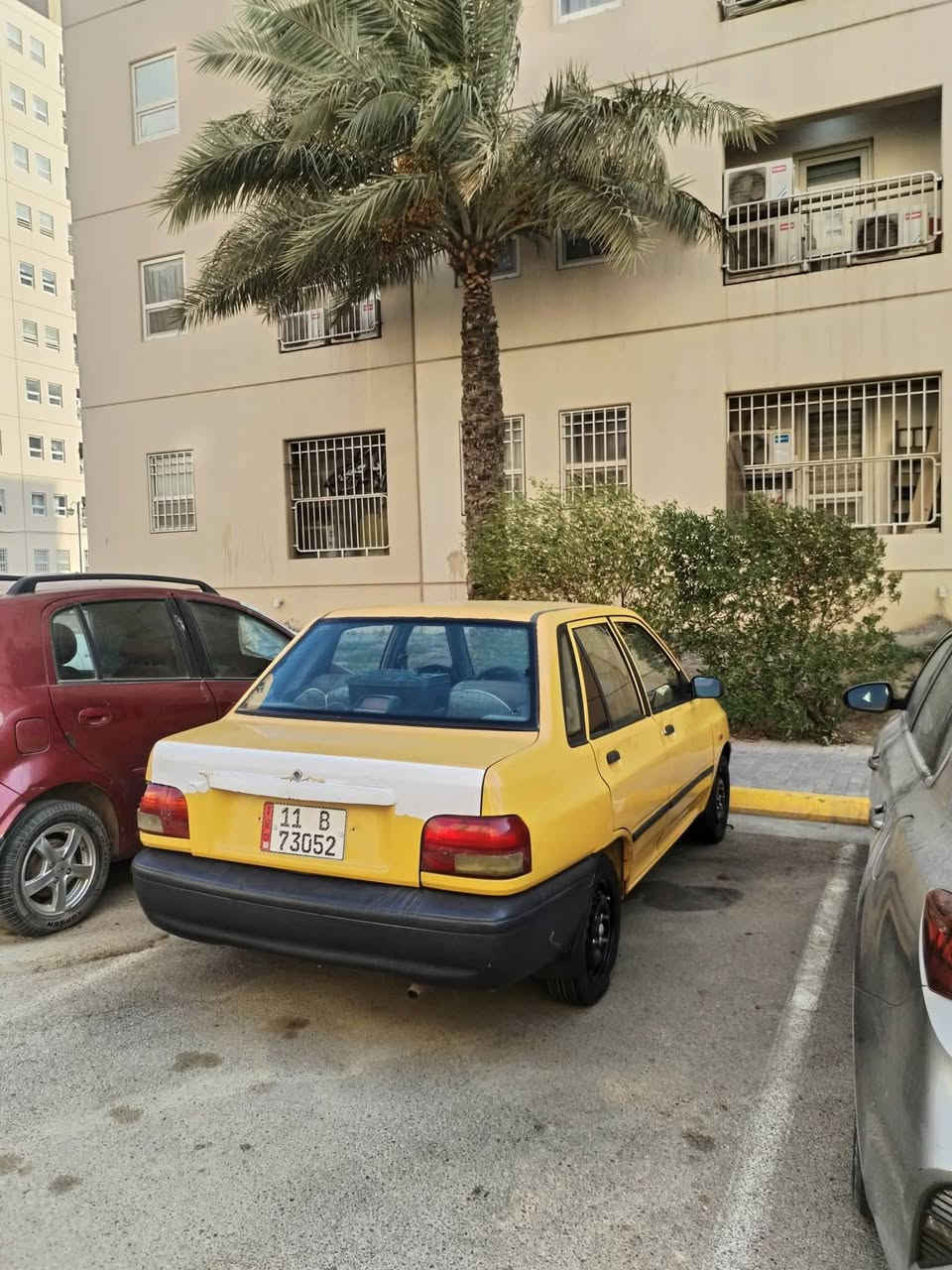 سايبا • صفراء • مسيب