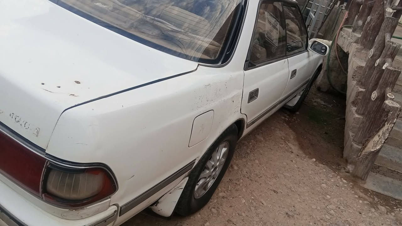 مارك شطح • ١٩٩٢ • ضربة خلفية