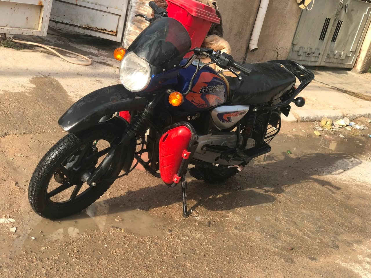 بوكسر • ٢٠٢٣ • مكفوله