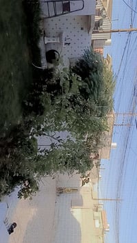حي عدن • ٢٠٠م+ • ٣ غرف