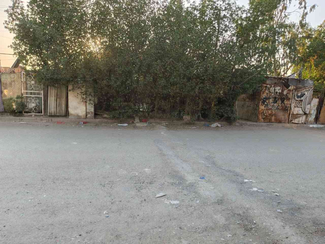 من رخصه الادمن بيت للبيع في مدينه الشعب منطقه الديوان مساحه ١٥٠ متر  الواجهه ٧ الطول ٢٠ يحتوي على طابقين الطابق الاول 
كراج ومطبخ واستقبال كبير وهول في الوسط وغرفه وملحقات من تواليت وترك في نهايه الدار 
أما الطابق الثاني 
يحتوي على ثلاث غرف نوم مع هول مع ملحقات مطبخ وتواليت وحمام 
الدار يقع على شارع تجاري سادين تشجير أمام الدار وحديقه ضمن التشجير 
السعر المطلوب ٢٢٥, وفيه مجال للشراي الجاد 
التلفون ***********  
مع العلم الرقم فيه واتساب
