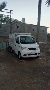 شيري حمل • ٢٠١١ • نجف العباسية