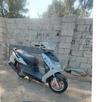 سكنس فحل • ياباني • تبخر
