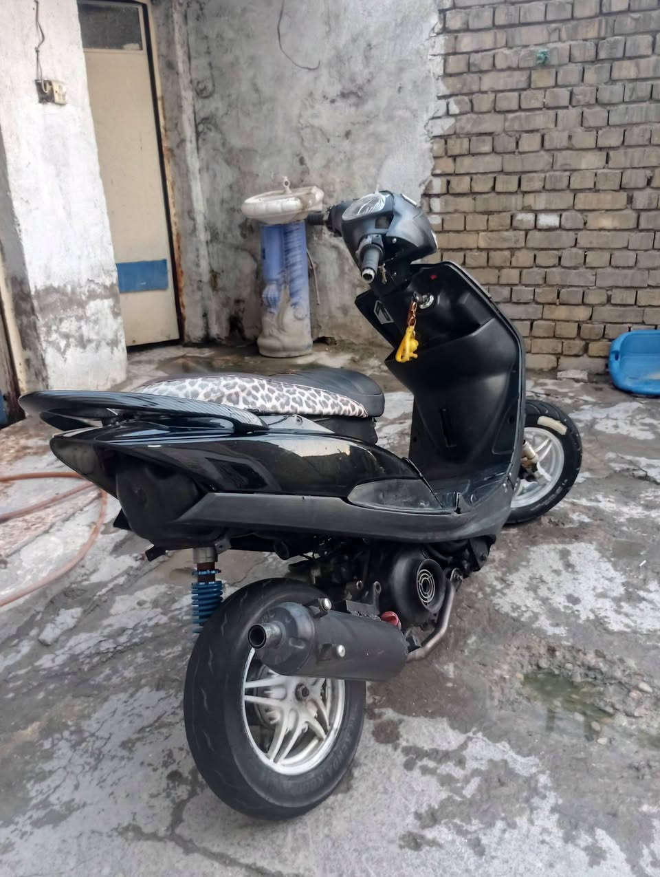 ماكس عدله • بوشة ٥٥ • تزويد حلو