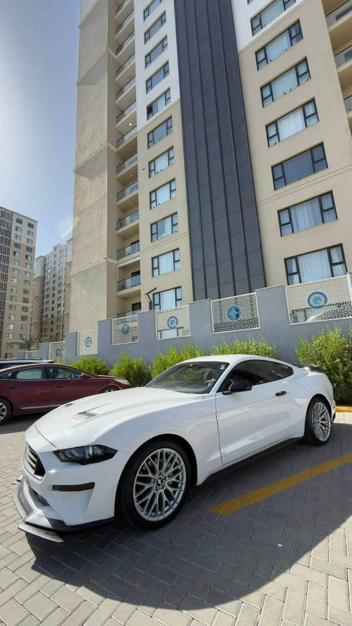 🚗 فورد موستنك EcoBoost Premium 2020
🔺مواصفات السيارة
▪️ محرك 2300 CC تيربو
▪️ كير 10 نمر
▪️ فئة Premium Black Edition
▪️ شاشة كبيرة (كاربلاي)
▪️ كاميرا خلفية
▪️ شفتات ستيرن
▪️ كشنات كهرباء
▪️ تدفئة وتبريد الكشنات
▪️ مرايا هيتر
▪️ تشغيل عن بعد
▪️ تنزيل الجامات عن بعد
▪️ حساسات خلفية
▪️ 5 وضعيات قيادة
▪️ 3 وضعيات ستيرن
▪️ إنارة داخلية متعددة الألوان
🔺 معلومات السيارة
▪️ رقم السليمانية
▪️ تحويل مباشر
▪️ ماشية 123 ألف كم
▪️ كير ومكينة مكفولات
▪️ صدر أمامي وخلفي
▪️ تبريد ثلج
▪️ تخم تايرات جديد
🛠️ الضرر
▪️ حادث خفيف
▪️ قطعتين وربع صبغ فقط
    الجاملغ والبنيد وربع الجاملغ جهة السائق
للاستفسار: ***********
