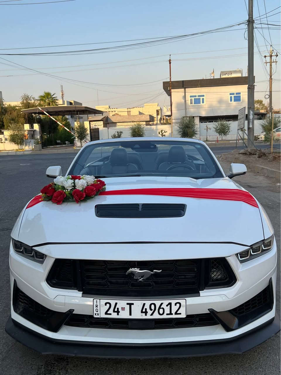 بيع و مراوس 
فورد موستانك فول فول مواصفات موديل ٢٠٢٤ ماشية 
٢٢ الف سقف كشف شاشة و گيج الكتروني قبات مواصفات بونيت جاملغ سبغ بدون شاصي بس بطانة بيها تعديل ارباك مرجع بلادي مكاني اربيل 
فورد موستانك فول فول مواصةفات سةيارةكة ٢٢ مايل رويشتوة سةقف كةشفي قپات مواصةفاتة بونيت و جاملغي بوياغة شانصي هيج نةگرتوة تةنها بةطانةي تةعديلة ارباكي بلادي بو داندراوةتةوة شوينم هةولير *********** أربيل, العراق
