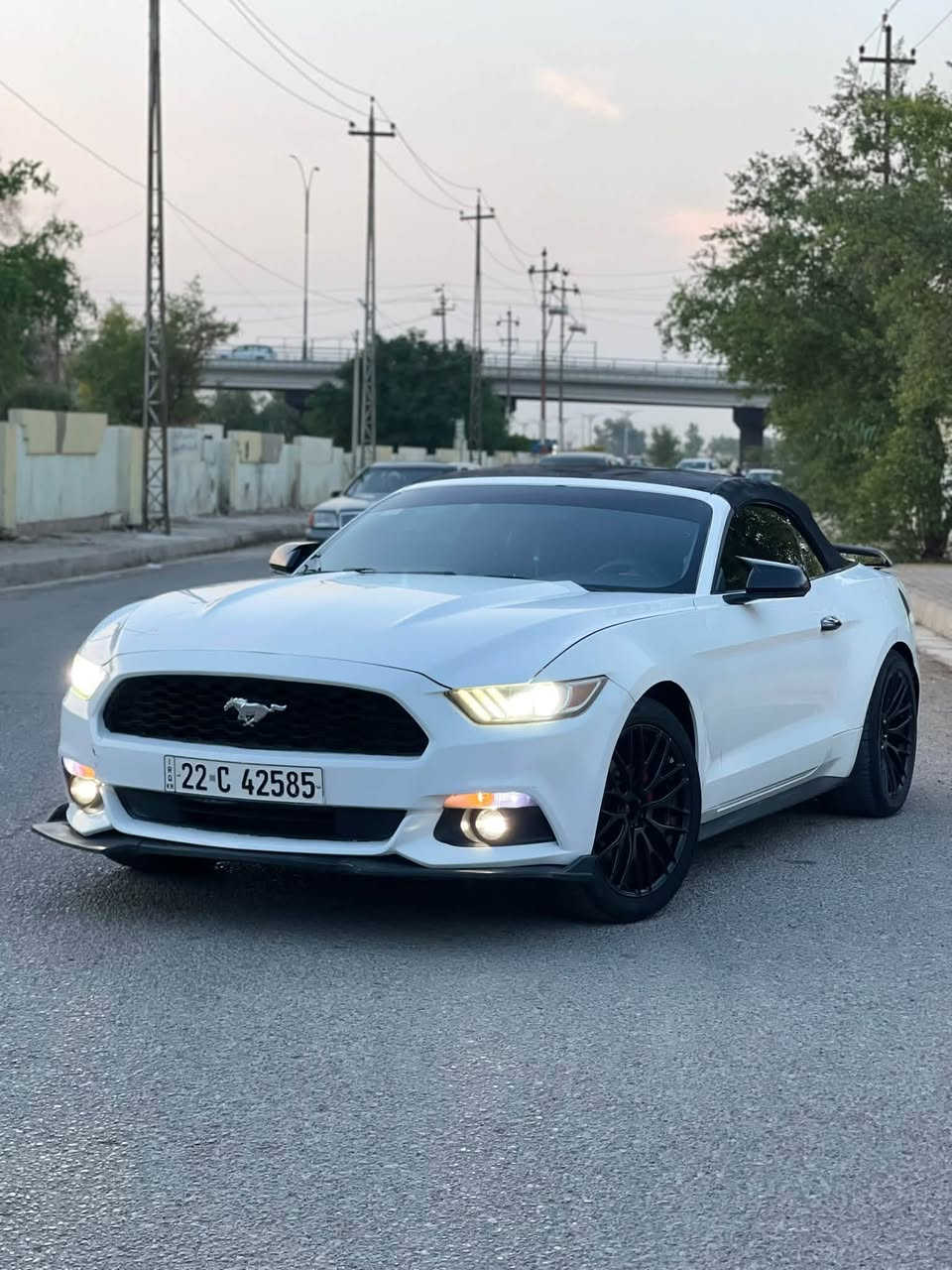 موستانغ • ٢٠١٥ • رقم اربيل