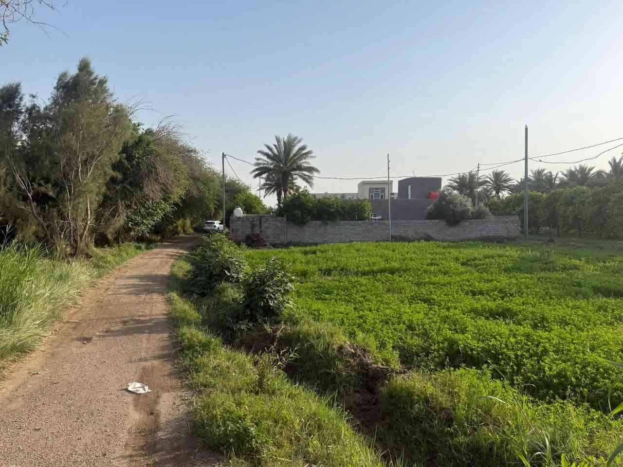 كاع طابو زراعي سند 25 بسمي شرط التحويل)(في واسط - قضاء - الزبيدية )
تبعد عن مركز المدينة -وعن( سيطرة السدة تقريباً ٤٠٠ م) محاديه لنهر دجله 

(( طريق سدة الجدول )) 

مساحة ١٨ دونم - وجه 28 م
 (بيهة خمسه ٥ بيوت )
ملاحضة؟ . البيوت تباع من ضمن الدوانم وذا تجزئه لا حسب التفاق))

(( طريق رسمي - حصة مائية + ماطور - كهرباء
تبليط - مستصلحة مزروعة - (( تحويل مباشر ))
((( محولة كهرباء خاصة في الكاع )))

(( تباع كاملة أو تجزئة دوانم ))
(( كما موضح في الفيديو ))

للاستفسار - *********** )) 
((واسط - قضاء - الزبيدية  ))
