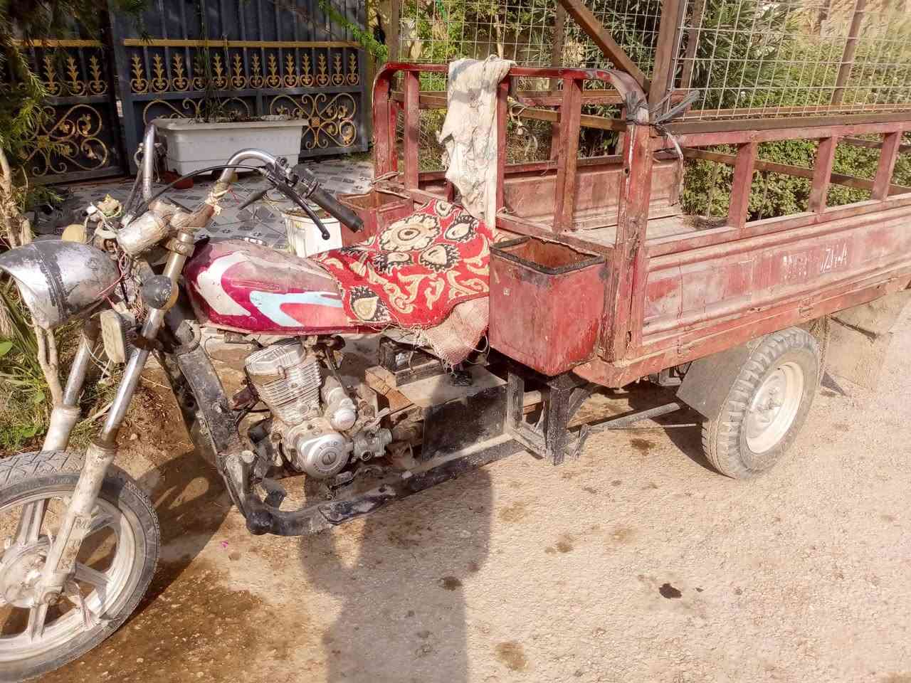 ستوته • اوراقه ضايعه • شاصي مكفول