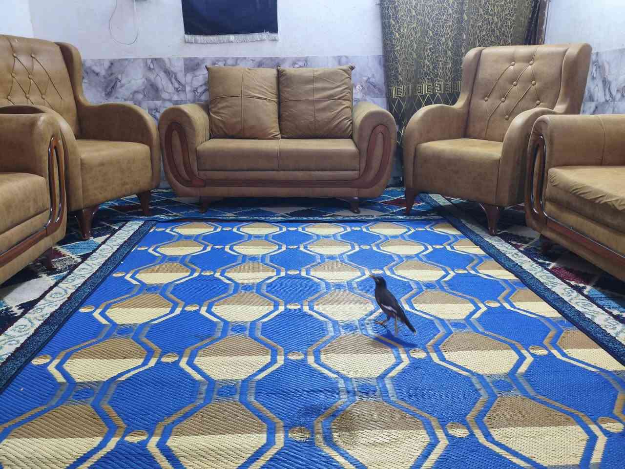 تخم  10 مقاعد تزكام درجى اولى نضافه 100/100 استخدام قليل كلش  خشب بلوك اسود قماش وتر برو سعره 325 وبي مجال مكاني كربلاء حي العامل يوجد توصيل بكروه *********** يوجد واتساب
