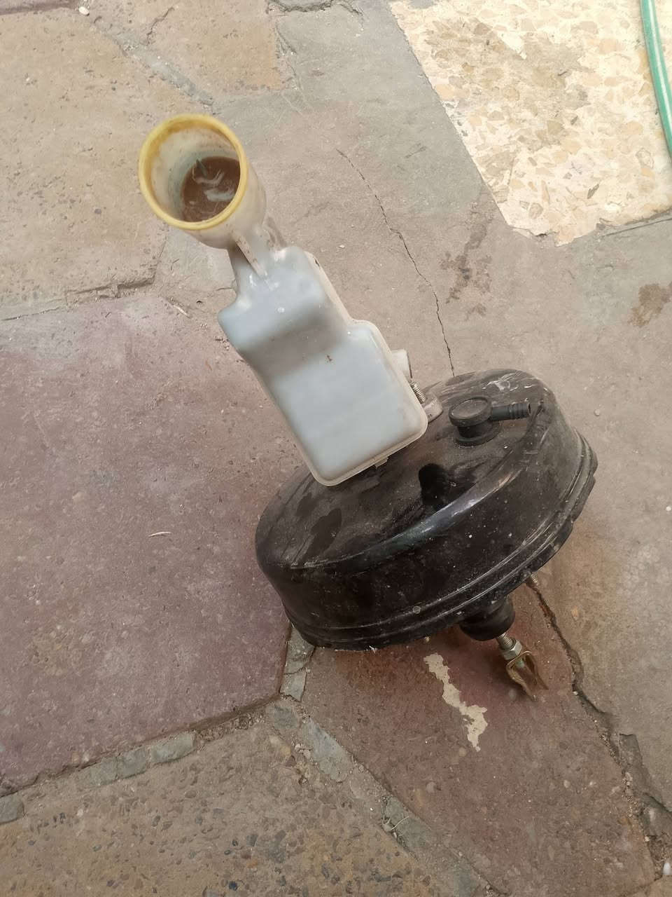 عنبار • عركجين • جدد
