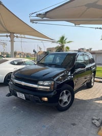 بلايزر • ٢٠٠٨ • البصرة المعقل