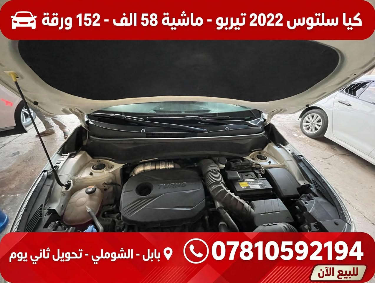 🚨 للبيع كيا سلتوس 2022 وارد كندي - تيربو 🚨
المواصفات:
• الموديل: 2022
• المحرك: 1.6 Turbo GDI - 175 حصان (المرغوب)
• الماشية: 58,000 كم فقط
• الكير: اوتوماتيك 7 نمر DCT
• الرقم: قادسية 174609 - باسمي
• اللون: ابيض لؤلؤي
• الوارد: كندي

المواصفات الداخلية:
• داخل جلد اسود نظيف
• بصمة + تشغيل عن بعد
• شاشة + كاميرا خلفية
• تحكم ستيرن + مثبت سرعة
• تبريد ثلج

الفحص:
• وارد كندي - سونار قديم موجود
• مو غرق ولا شاصي ولا ايرباك
• السيارة نظافة 95% - بيها فقط طخه بسيطة بالجاملغ الامامي والخلفي اليمين صارت عندي اني موضحة بالصور، باقي السيارة بدون صبغ وبدون تبديل
• محرك وكير كفالة

السعر: 152 ورقة (15,200$) وبيها مجال للطيبين
العنوان: بابل - الشوملي - تحويل ثاني يوم
للاستفسار: ***********

نص مكتوب في الصور:
- للبيع • كيا سلتوس 2022 تيربو
- كيا سلتوس 2022 تيربو - ماشية 58 الف - 152 ورقة
- بابل - الشوملي - تحويل ثاني يوم
- للتواصل والاستفسار – اتصل الآن
- ***********
- فحص كامل • جاهزة للتحويل
- كيا سلتوس 2022 تيربو - ماشية 58 الف - 152 ورقة *********** بابل - الشوملي - تحويل ثاني يوم للبيع الآن
- للبيع | كيا سلتوس 2022 | فرصة مميزة الداخلية - جلد أسود المحرك - تيربو الجانب الخلفي - خارجي تفاصيل المحرك - TURBO السعر 15200$ وبيها مجال كيا سلتوس 2022 وارد كندي - تيربو - ماشية 58 الف - رقم قادسية نظيفة جدا - كفالة محرك وكير كفالة محرك وكير ماشية 58 الف سيارة نظيفة • فحص كامل • جاهزة للتسجيل