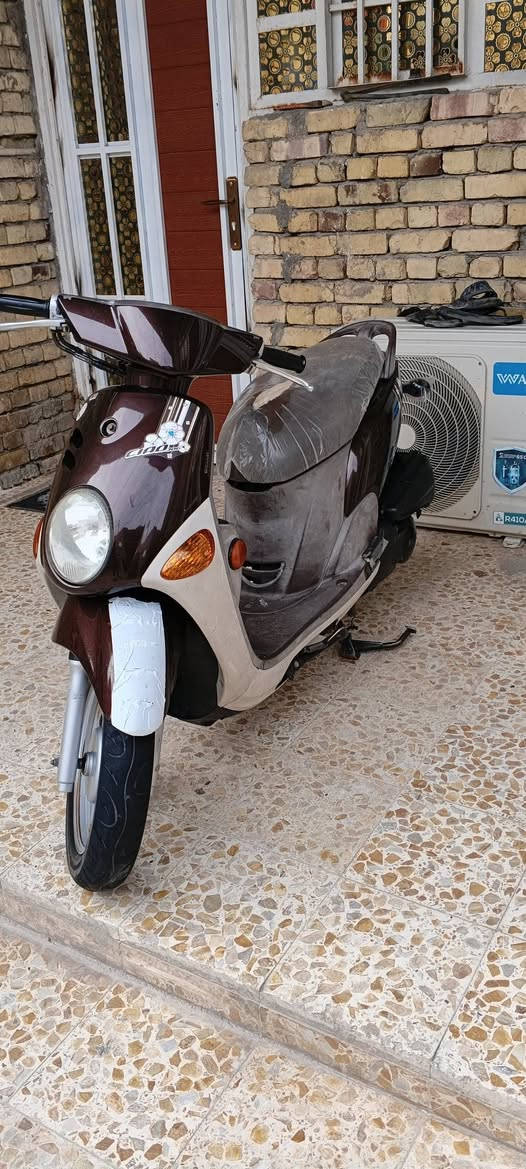 فلة • جديدة • ٢٠١٤