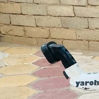 سبايدر • باكستاني • الغراف
