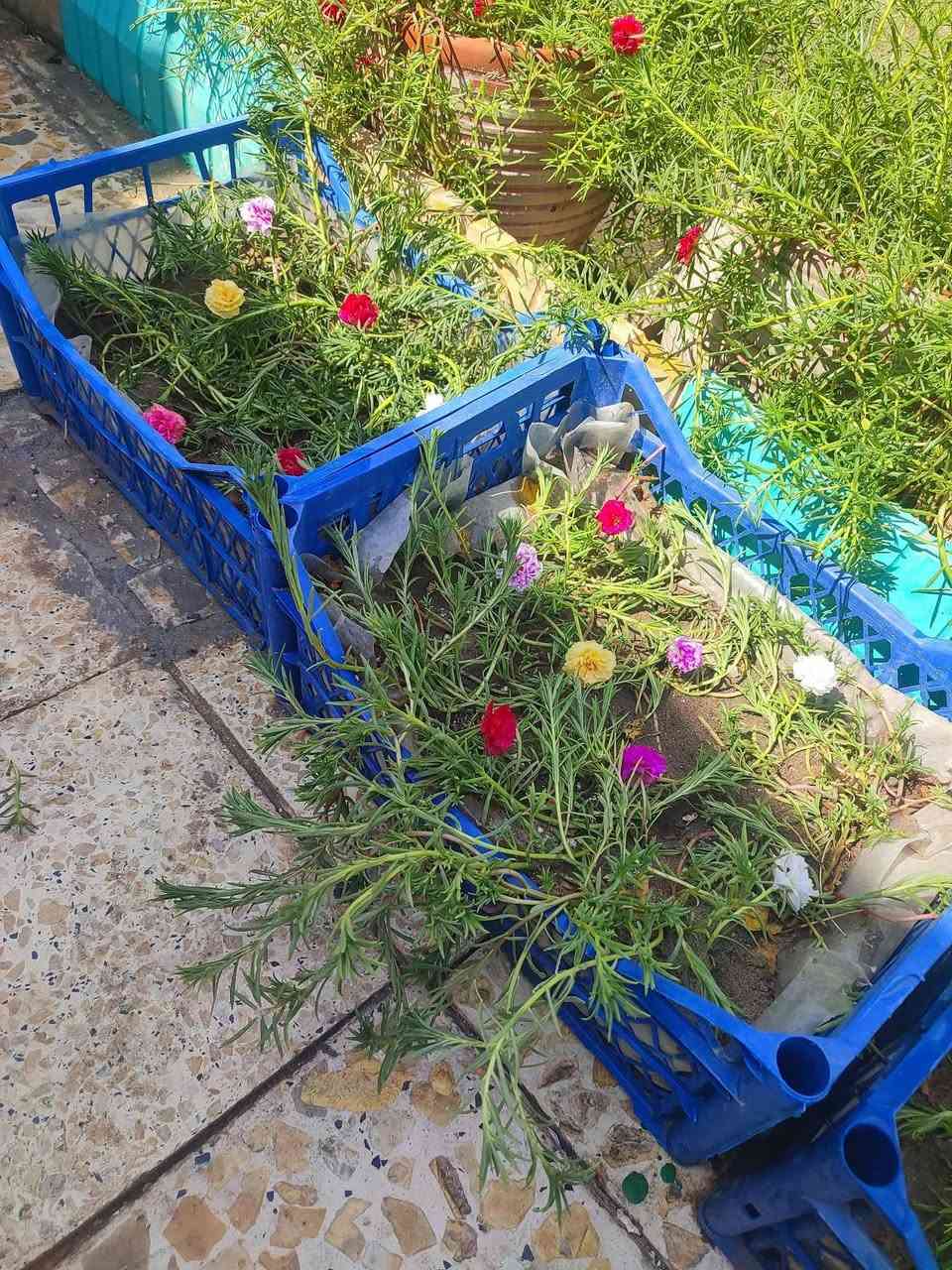 سندانه • حجم ٢٢ • توصيل