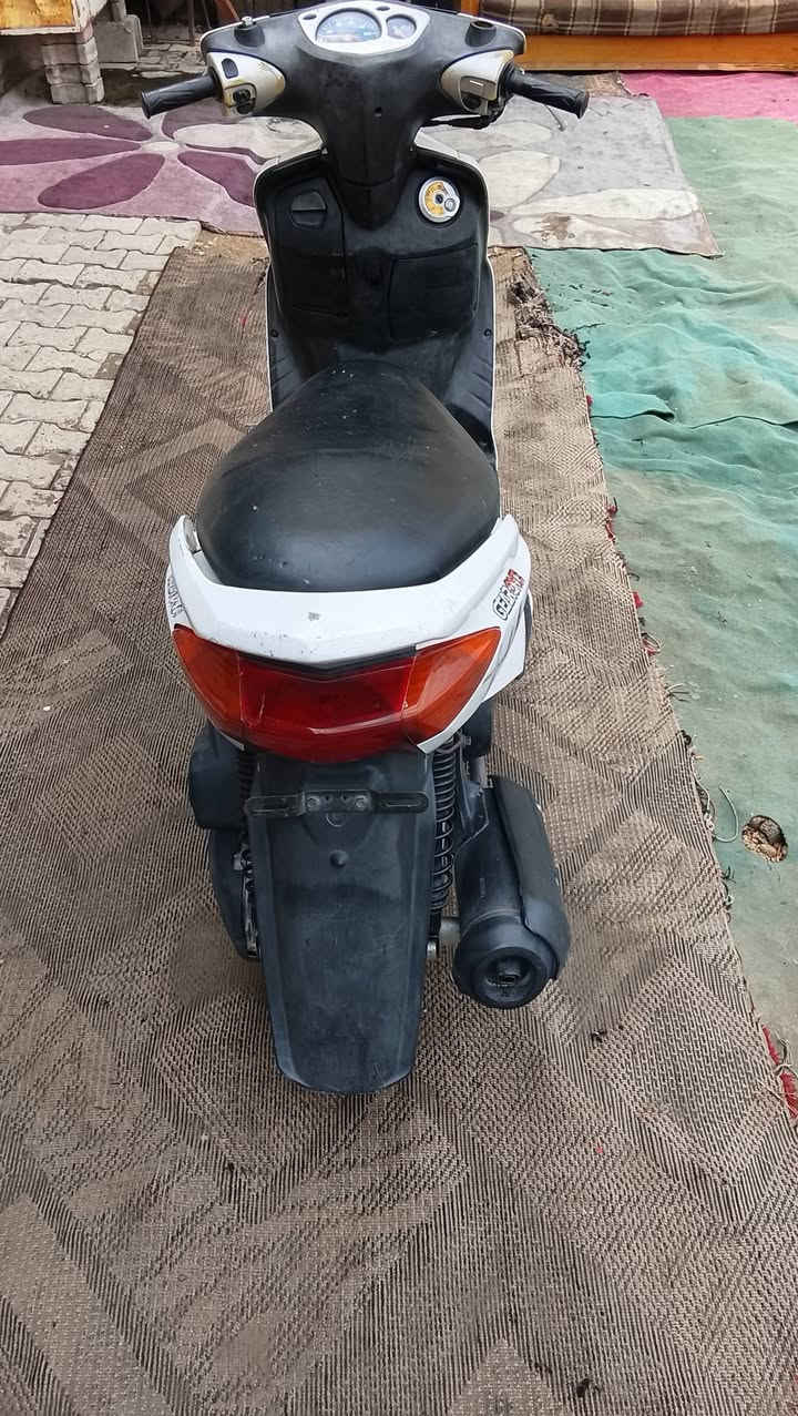 سكنس • لبيع • سعر خاص