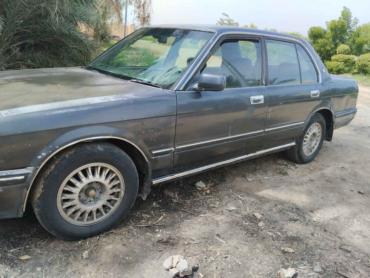 ارنب 93 السياره جارده بيه طخات ***********
