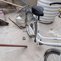 باسكل بناتي • حجم ٢٦ • سالم
