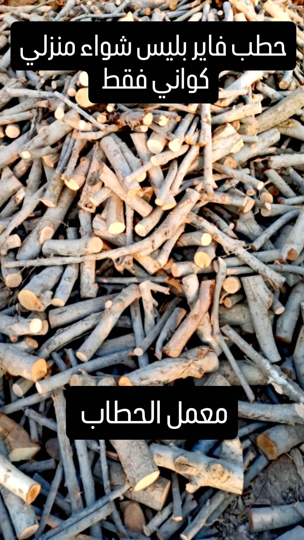 حطب يابس • درجة أولى • للمطاعم والمخابز والبيوت