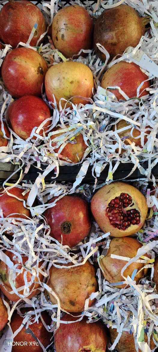 خضار وفواكه • متنوع • طازج